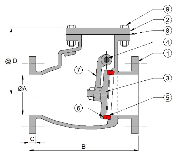 Non Return Valve - Thorat Valves